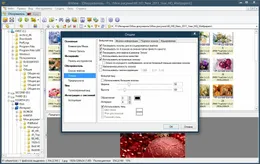 XnView — скриншот 1
