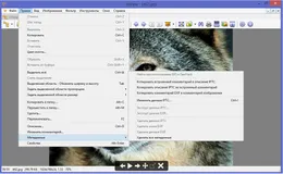 XnView — скриншот 4