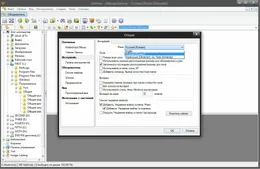 XnView — скриншот 5